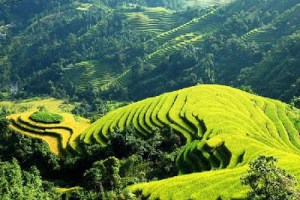 Banaue-Rice-Terraces-Philippines